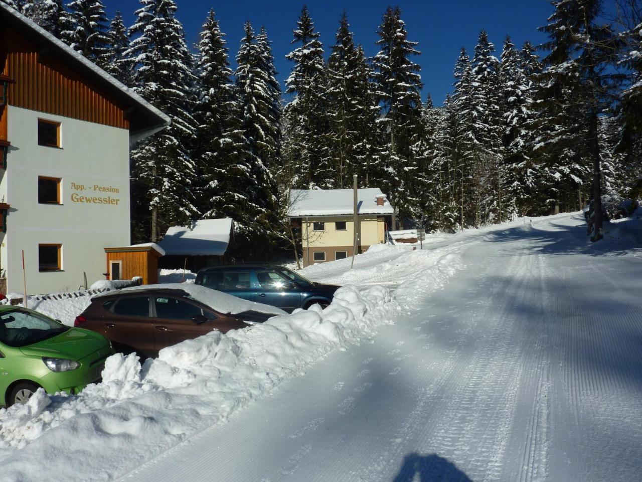 Appartement-Pension Familie Gewessler Bad Mitterndorf Exterior photo